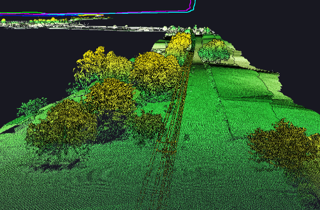 LiDAR of Distribution Line ROW