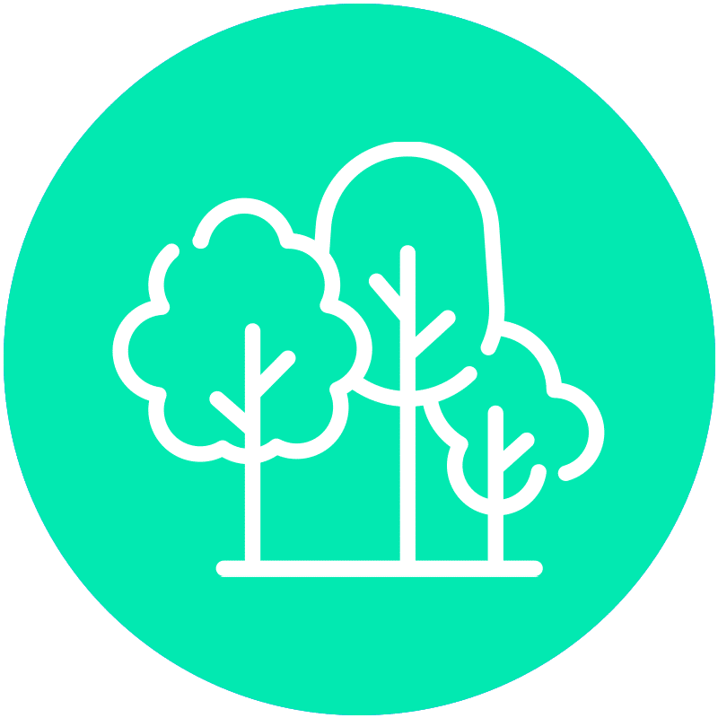 Drone as a Service Vegetation Management
