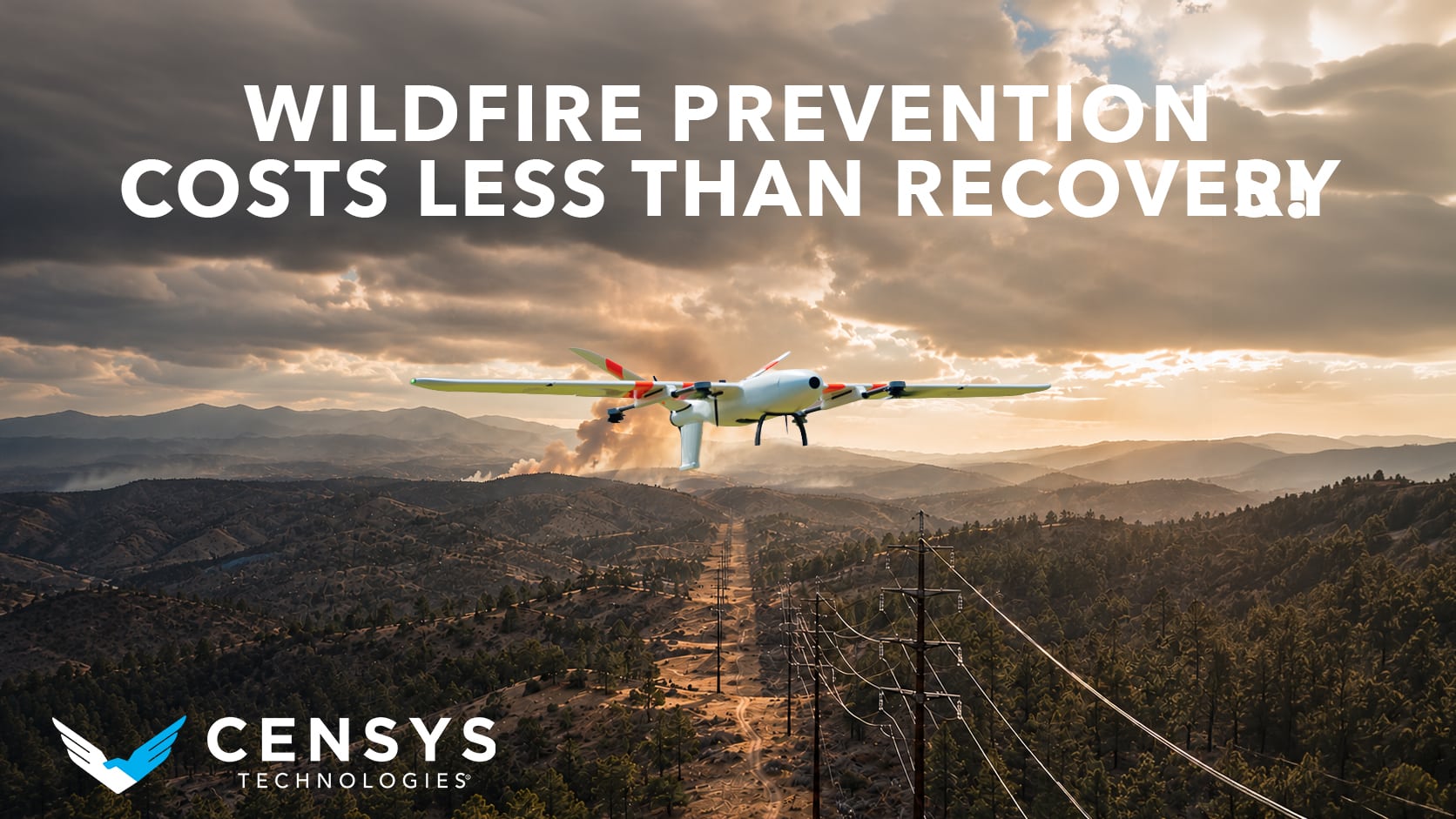 The Economics of Wildfire Prevention vs. Wildfire Recovery 